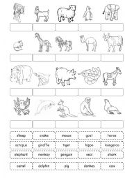 English Worksheet: Animals