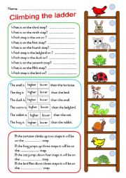 English Worksheet: Ordinals - Position of numbers