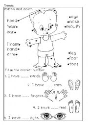 English Worksheet: Parts of the Body