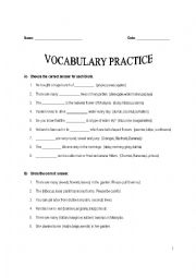 English Worksheet: Trees and Plants