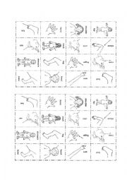 English Worksheet: parts of the body cards