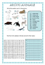 English Worksheet: Arctic Animals