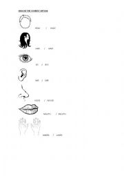 English Worksheet: PARTS OF THE BODY