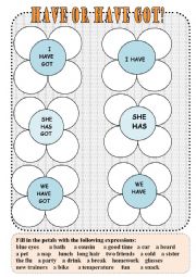 English Worksheet: Have got or have collocations