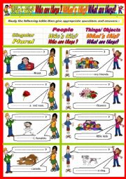 English Worksheet: Who is who are  What is what are ?