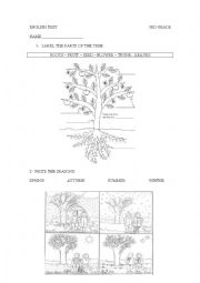 English Worksheet: parts of the plants