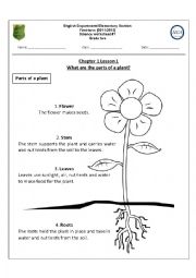what are the parts of a plant?