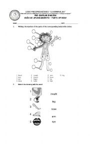 English Worksheet: Parts of  Body