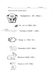 English worksheet: ADJECTIVES