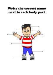 English Worksheet: Body Parts