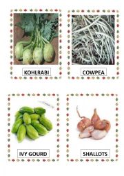 VEGETABLES PART-11