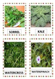 VEGETABLES PART-15