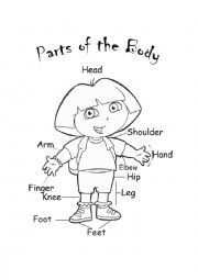 Parts of the Body