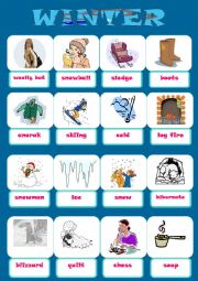 English Worksheet: WINTER PICTIONARY