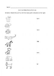 English Worksheet: common body parts of animals