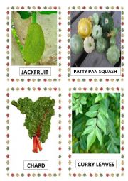 VEGETABLES PART-20