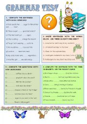 English Worksheet: GRAMMAR TEST FOR BEGINNERS