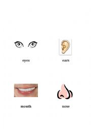 English Worksheet: Body Parts Cards