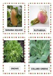 VEGETABLES PART-25