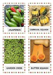 VEGETABLES PART-24