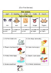 English Worksheet: Our Five Senses