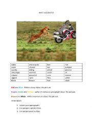 English Worksheet: Writing Center Zebra on Motorcycle