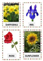 English Worksheet: FLOWERS PART-1