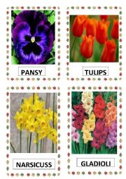 English Worksheet: FLOWERS PART-2