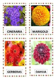 English Worksheet: FLOWERS PART-4