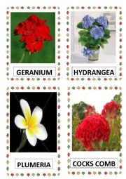 English Worksheet: FLOWERS PART-6