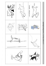 English Worksheet: Can they really do it ?