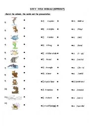 English Worksheet: wild animals part 2