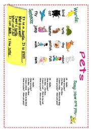 English Worksheet: Pets