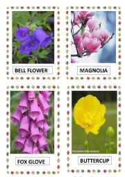 English Worksheet: FLOWERS PART-7