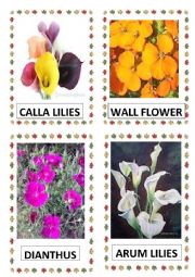 English Worksheet: FLOWERS PART-9