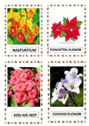 English Worksheet: FLOWERS PART-10