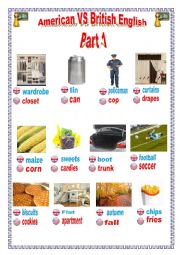 English Worksheet: American VS British English