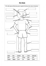 English Worksheet: My Body