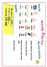 English Worksheet: body parts