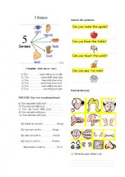 English Worksheet: 5 senses