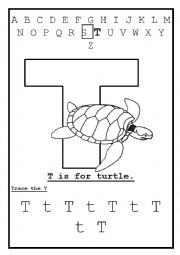 English Worksheet: Letter T