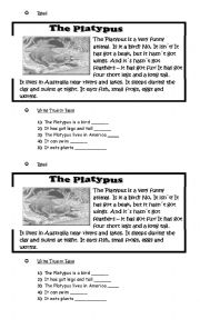 English Worksheet: Readig Comprehension