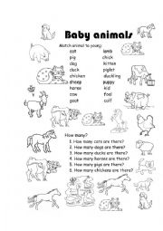 English Worksheet: Baby animals