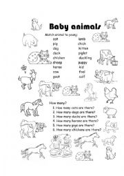 English Worksheet: Baby animals