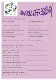 English Worksheet: Adverb of Frequency activities