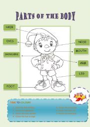 English Worksheet: Parts of the body