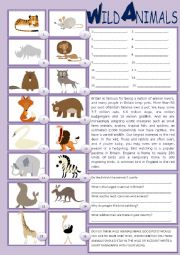 English Worksheet: Wild Animals