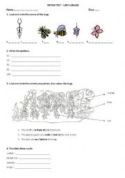 English Worksheet: English Adventure 3 Bugs Ttest