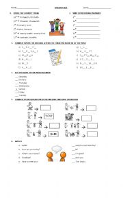 English Worksheet: Grammar and Vocabulary for Beginners