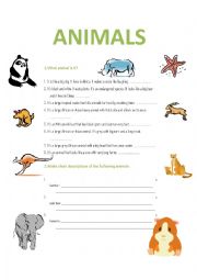 English worksheets: WILD ANIMALS